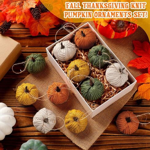 12 Pcs Mini Knit Pumpkins Fall Pumpkin Ornaments Thanksgiving Small Fall Crochet Ornaments Decorative for Autumn Rustic Farmhouse Harvest Decoration (Mini Autumn Set) in Saudi Arabia