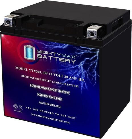Mighty Max Battery YTX30L-BS 12V 30AH Battery for Polaris 800 RZR 4, RZR S 800 2010-2014 in Saudi Arabia