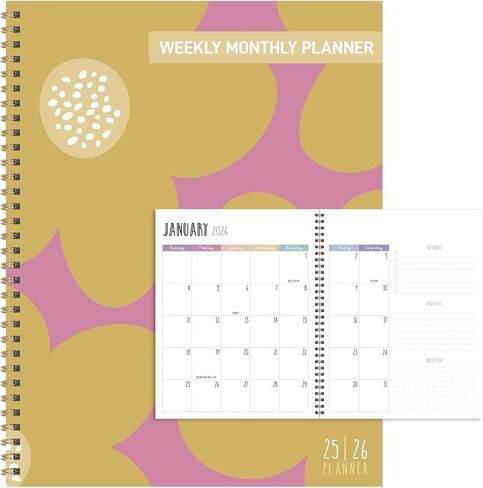 TF Publishing July 2025 - June 2026 Striped Down Large Weekly Monthly Planner - 12 Month Academic Planner 2025-2026 with Durable Cover, Thick Uncoated Paper, and Planning Stickers - 9in x 11in in Kuwait