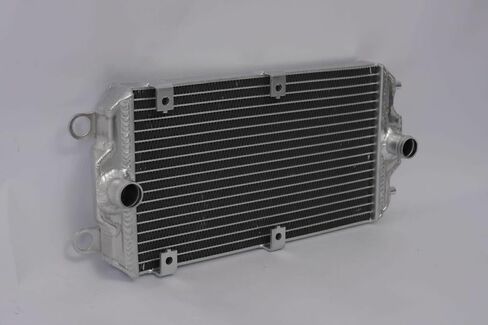 NEW All Aluminum Radiator FOR 2015-2021 Harley Davidson Street 500/750 XG500/XG750 in Saudi Arabia