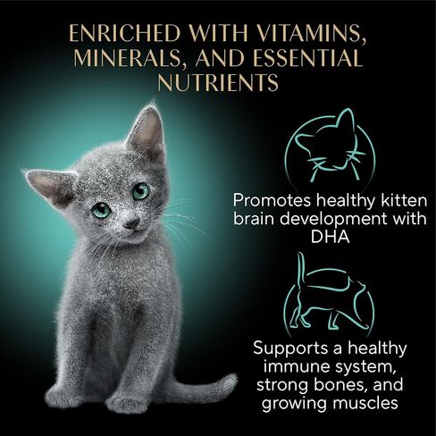 Sheba Perfect Portions Kitten Wet Cat Food Pate Chicken Entree, Salmon Entree, and Turkey Entree, 2.6 oz. Twin-Pack Trays, 24 Count in Saudi Arabia