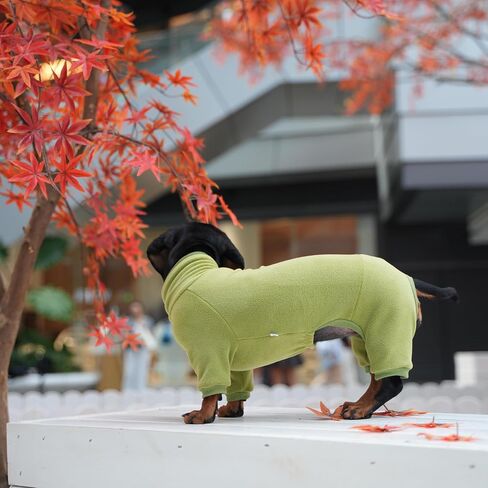 Dachshund Dog Turtleneck Sweater, Winter Warm Clothes for Dachshunds, Sausage Dog Winter Outfit(L) in Saudi Arabia