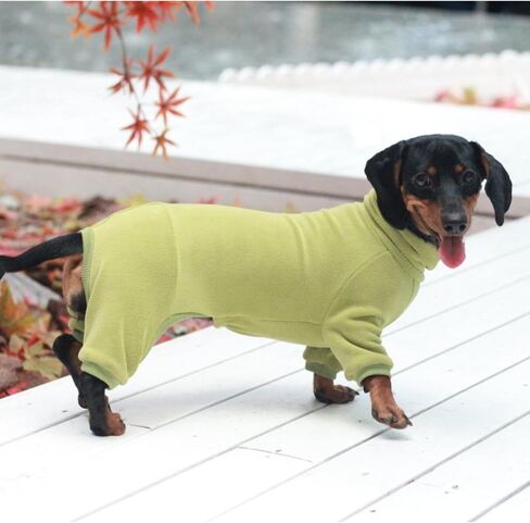 Dachshund Dog Turtleneck Sweater, Winter Warm Clothes for Dachshunds, Sausage Dog Winter Outfit(L) in Saudi Arabia