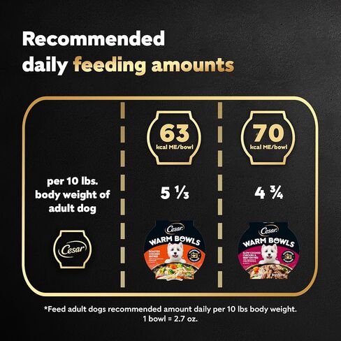 Cesar Warm Bowls Wet Dog Food Roasted Chicken Entrée, 2.7 oz. Trays, 10 Count in Saudi Arabia