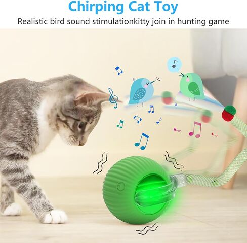 ألعاب القط التفاعلية للقطط الداخلية ، 2025 لعبة Cat Ball Interactive Cat New Generation مع ذيل شبكة مرنة ، ألعاب Cat/القطة التلقائية مع تنشيط النيمة والتنشيط ، ألعاب Cat للملل الداخلي (أحمر) in Saudi Arabia