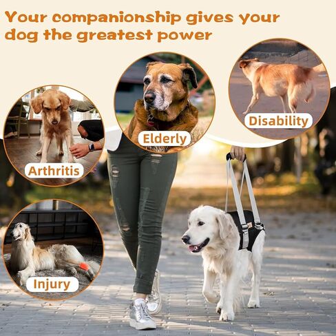 Dog Lift Harness for Large Dogs,Dog Sling for Back Legs,with Handle,Rear Leg Support/Walk/Up Stairs/Dogs Joint Injuries/Arthritis in Saudi Arabia