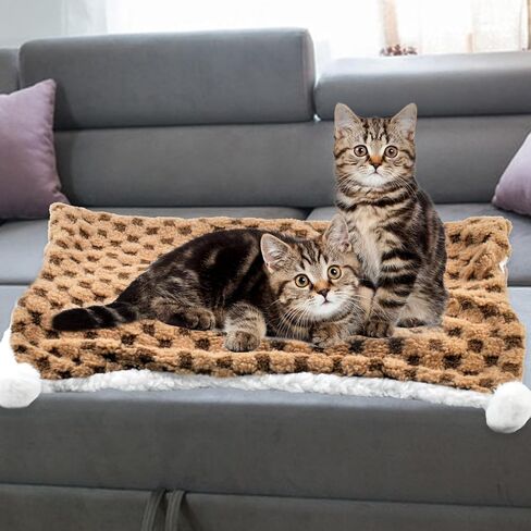 بطانية القط للقطط ، بطانية حيوان أليف دافئ لطيف 28.0x20.0 بوصة هادئة بطانيات القطة قابلة للغسل بطانية بربرية فريد بطانية للقطط للحيوانات الأليفة هريرة أريكة أريكة (أخضر) in Kuwait