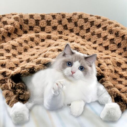 بطانية القط للقطط ، بطانية حيوان أليف دافئ لطيف 28.0x20.0 بوصة هادئة بطانيات القطة قابلة للغسل بطانية بربرية فريد بطانية للقطط للحيوانات الأليفة هريرة أريكة أريكة (أخضر) in Kuwait