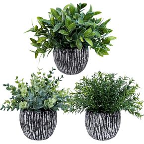 Winlyn Set of 3 Artificial Potted Plants Faux Eucalyptus Rosemary Boxwood Greenery in Black & White Concrete Pots Small Fake Plant for Indoor Outdoor Home Office Table Shelf Windowsill Greens Décor in Saudi Arabia