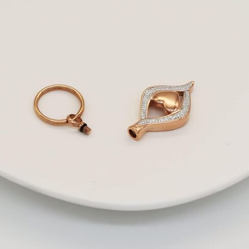 Cremation Jewelry for Ashes Holder Crystal Teardrop Heart Stainless Steel Keepsake Urn Pendant Memorial Keychain for Women Men (Rose Gold) in Kuwait