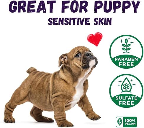 شامبو الكلاب | الحساسية والحكة | شامبو الكلاب للبشرة الحساسة | جميع بار صابون الكلاب الطبيعي مع زيت اللافندر والشوفان | لا نباتي بلاستيكي | 3pcs in Kuwait