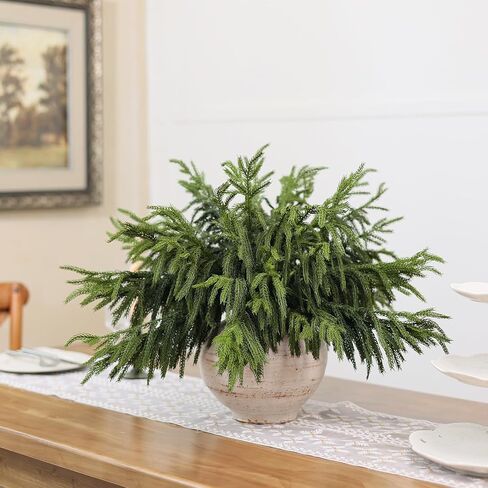 20 Pcs Christmas Norfolk Pine Branches -18" Real Touch Artificial Norfolk Pine Branch Faux Plants Stem Fake Greenery Pine Picks for Vase DIY Crafts Garland Wreath Home Indoor Outdoor Decoration in Kuwait