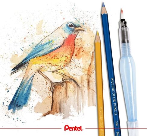 Pentel Arts Watercolour Pencil Set - Assorted, 24 Count (Pack of 1) in Saudi Arabia