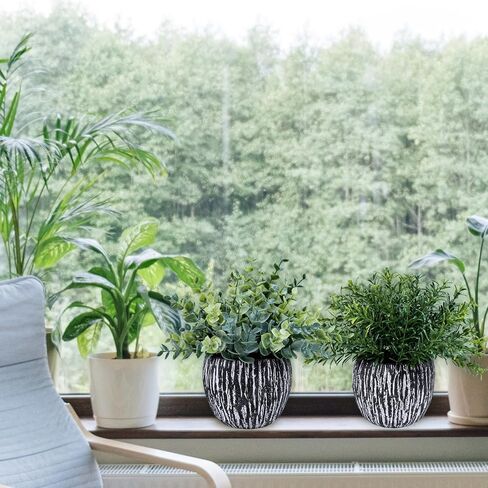 Winlyn Set of 3 Artificial Potted Plants Faux Eucalyptus Rosemary Boxwood Greenery in Black & White Concrete Pots Small Fake Plant for Indoor Outdoor Home Office Table Shelf Windowsill Greens Décor in Saudi Arabia