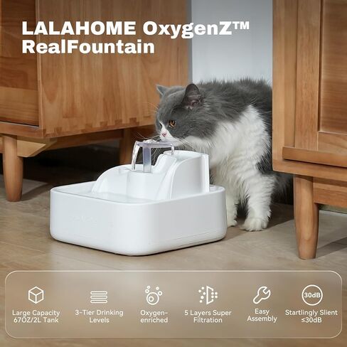 Cat Water Fountain Automatic, 2L/67oz, Dog Water Dispenser for Drinking, Healthy Pet Water Bowel 3-Stage RealFountain with Isolating Pumps, Quiet, Ultrafiltration, BPA-Free Easy Cleaning in Saudi Arabia