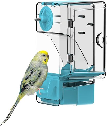 Automatic Bird Feeder, Bird Cage Feeder with Perch Multi-Functional Holder for Fruits Vegetables for Parakeet Canary Cockatiel Finch (Green) in Saudi Arabia