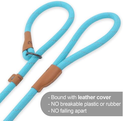 Slip Lead Dog Leash, Reflective Mountain Climbing Rope Leash, Dog Training Leash – 5FT, 2 Sizes (Medium, Turquoise) in Saudi Arabia