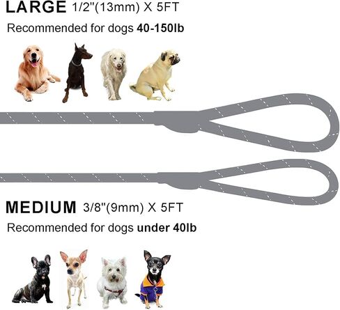 Slip Lead Dog Leash, Reflective Mountain Climbing Rope Leash, Dog Training Leash – 5FT, 2 Sizes (Medium, Turquoise) in Saudi Arabia