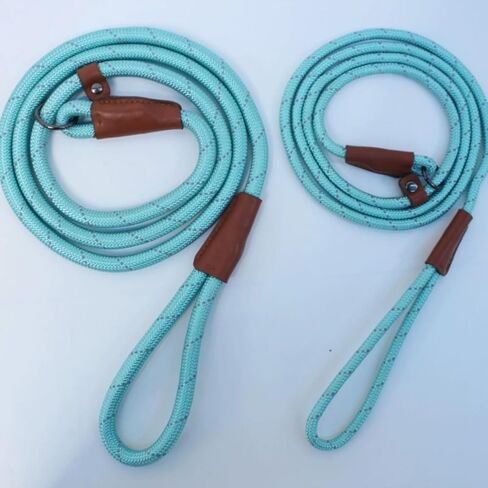 Slip Lead Dog Leash, Reflective Mountain Climbing Rope Leash, Dog Training Leash – 5FT, 2 Sizes (Medium, Turquoise) in Saudi Arabia