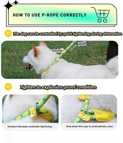 Slip Lead Dog Leash, Reflective Mountain Climbing Rope Leash, Dog Training Leash – 5FT, 2 Sizes (Medium, Turquoise) in Saudi Arabia
