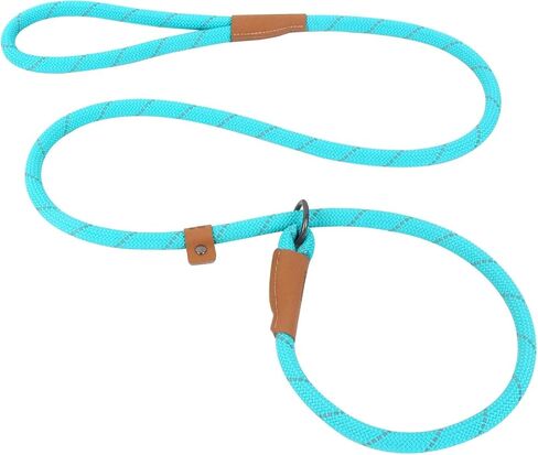 Slip Lead Dog Leash, Reflective Mountain Climbing Rope Leash, Dog Training Leash – 5FT, 2 Sizes (Medium, Turquoise) in Saudi Arabia