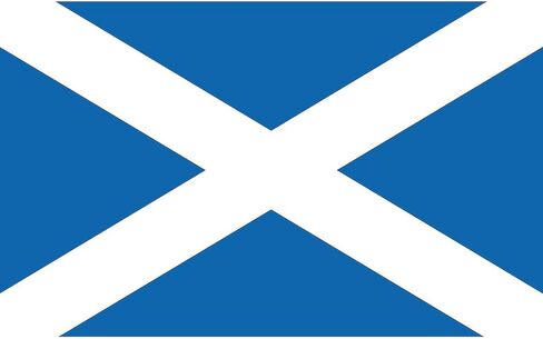 Cafepress Scotland Rectangle Sticker Rectangle Stickper Sticker Scal in Saudi Arabia