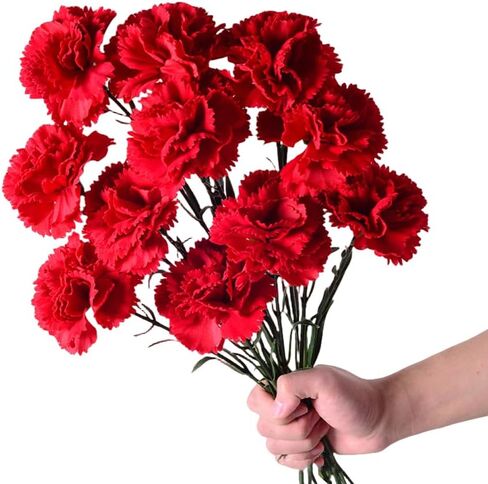 15 Inch Bouquets 20 Stem Carnations,Carnations Artificial Flowers,No Fade Artificial Flower, Silk Petals Fake Flowers Forever Plants for Home Party and Wedding Decor (Light Pink) in Saudi Arabia