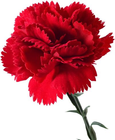 15 Inch Bouquets 20 Stem Carnations,Carnations Artificial Flowers,No Fade Artificial Flower, Silk Petals Fake Flowers Forever Plants for Home Party and Wedding Decor (Light Pink) in Saudi Arabia