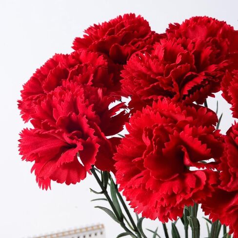 15 Inch Bouquets 20 Stem Carnations,Carnations Artificial Flowers,No Fade Artificial Flower, Silk Petals Fake Flowers Forever Plants for Home Party and Wedding Decor (Light Pink) in Saudi Arabia