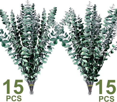 30pcs مجفف الأوكالبتوس النباتات الحقيقية: الأوكالبتوس الاصطناعي مصنوع من سيقان الأوكالبتوس الطازجة للاستحمام معلقة ، المنزل ، الشقة ، الساحرة ، الأخضر ، وحمام بوهو ، بوهو. in Saudi Arabia