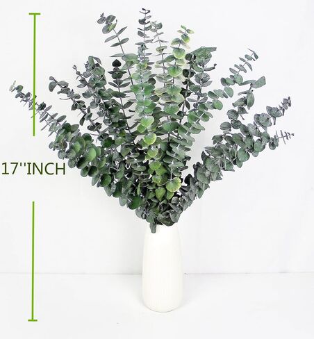 30pcs مجفف الأوكالبتوس النباتات الحقيقية: الأوكالبتوس الاصطناعي مصنوع من سيقان الأوكالبتوس الطازجة للاستحمام معلقة ، المنزل ، الشقة ، الساحرة ، الأخضر ، وحمام بوهو ، بوهو. in Saudi Arabia