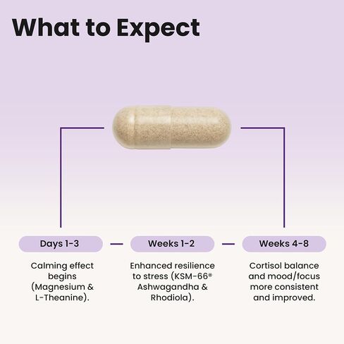 WellPath Soothe Cortisol Manager-مكملات الكورتيزول للنساء المصابات بـ KSM-66® Ashwagandha & L-theanine-دعم الإجهاد ، التخلص من السموم-مجمع 11-in-1 ، نباتي ، مصنوع في الولايات المتحدة الأمريكية ، غير المعدلة وراثيا ، 60 CT in Kuwait