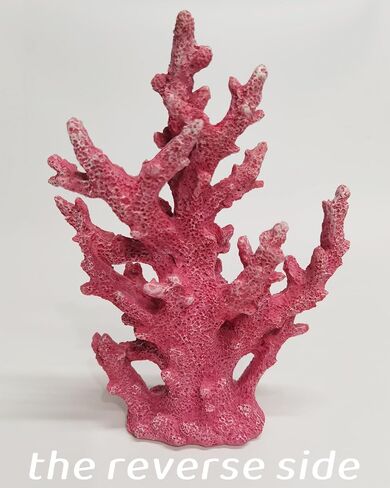 Lifelike Coral Reef Sculpture Statue - Handmade Resin Ocean Decor for Aquarium, Desk, Bathroom, Shelf - Coastal Beach Nautical Theme Gift for Home & Office in Saudi Arabia