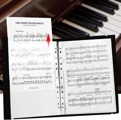 2Pcs Portfolio Binder with Plastic Sleeves, 60 Pockets Presentation Book Display 120 Pages File Folder for Artwork, Sheet Music, Document, Diamond Painting in Saudi Arabia