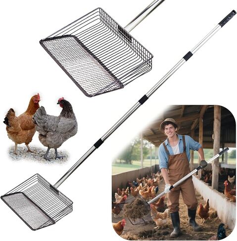 Chicken Poop Scooper - 54'' Metal Chicken Litter Scoop with Long Handle for Coop in Saudi Arabia