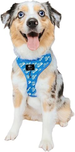 Ken™ Dog Leash 60-Inch with Neoprene Padded Handle - Comfortable, Durable, and Stylish for Small to Large Dogs - Officially Licensed in Kuwait