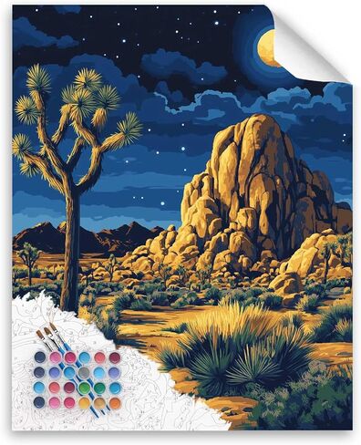 Arches National Park Paint by Number, Delicate Arch Paint by Numbers Kit for Adults, Utah Landscap Acrylic DIY Oil Painting on Canvas for Gift, Home Wall Decor(16x20inch, No Frame) in Kuwait