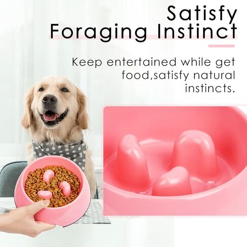 SUPERDESIGN Slow Feeder Dog Bowl Cat Bowl 1/2 Cup Slow Feeding Dog Bowl for Small Medium Breed Anti Gulping Healthy Eating Interactive Bloat Stop Alternative Non Slip Puzzle Dog Food Bowl, White in Saudi Arabia