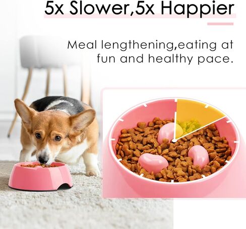 SUPERDESIGN Slow Feeder Dog Bowl Cat Bowl 1/2 Cup Slow Feeding Dog Bowl for Small Medium Breed Anti Gulping Healthy Eating Interactive Bloat Stop Alternative Non Slip Puzzle Dog Food Bowl, White in Saudi Arabia