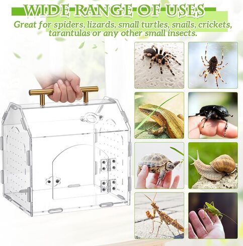 Jumping Spider Enclosure, Acrylic Tarantula Enclosure, Insect Terrarium with Handle and Magnetic Door, Transparent Terrarium for Reptiles, Amphibians, Spiders and Small Invertebrates in Saudi Arabia
