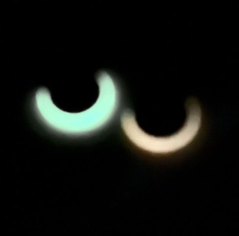1 Piece Unique Titanium Glow in the Dark Outer Edge Hinged Segment Ring - Septum Hoop Helix Daith - 16g - Body Jewelry in Saudi Arabia
