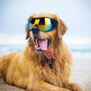 Pet Glasses Windproof UV Protection Dog Goggles Dog Sunglasses Eye Wear Protection with Adjustable Band for Medium and Large Dogs(Black)