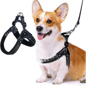 No-Pull Dog Harness- Adjustable, Comfortable Pet Halter Harness,No Choke Pets Padded Mesh Pet Vest Straps, Walk, Train Puppy,Dog Harnesses for Medium Large Dog,Black,S