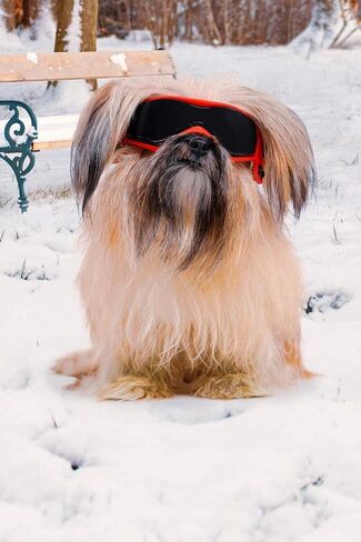 SHAMR Dog Sunglasses Dog Goggles Doggles UV Eye Protection Dog Glasses for Small to Medium Breed, Dust and Water Proof with Soft Frame (Red) in Saudi Arabia