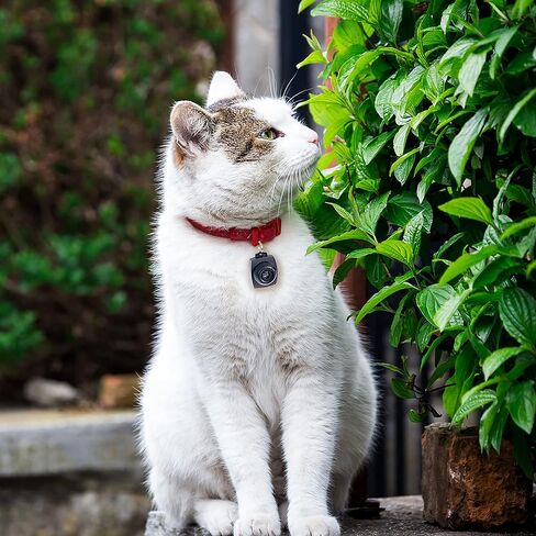 Tick & Flea Repeller, Multi, One Size Fits All in Kuwait