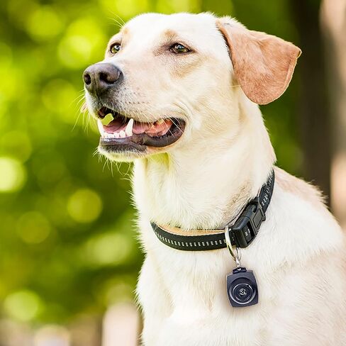 Tick & Flea Repeller, Multi, One Size Fits All in Kuwait