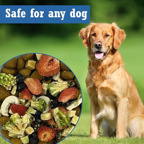 Superfood Dog Meal Topper Multivitamin - Freeze Dried Fruits and Vegetables, Nutritional & Digestion Support, Created by a Veterinarian, Made in The USA, 30 Servings in Saudi Arabia