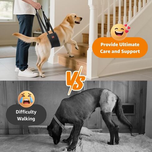 LOOBANI Adjustable Dog Sling for Large Dogs Hind Leg Support ACL Recovery in Saudi Arabia