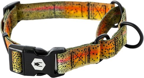 طوق الكلب من Wolfgang Heavy Duty Martingale مع إبلاغ سريع النايلون مشبك للمشي والتدريب ، طباعة Losmuertos ، متوسطة in Kuwait