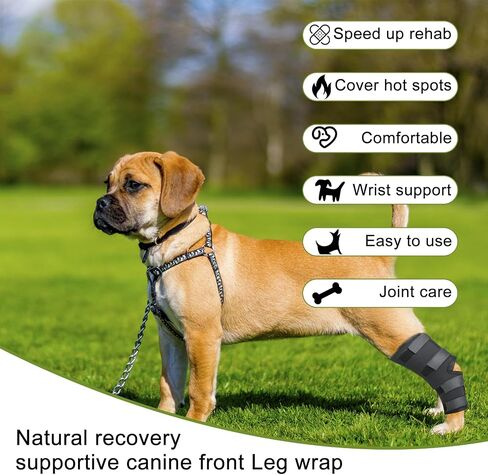 Dog Leg Braces for Rear Leg, Adjustable Dog Leg Sleeve Added Mobility Safety for Active Aging Dogs, Knee Support Straps for Outdoor Adventures Daliy Use Enhanced Stability (1 Pair) in Saudi Arabia